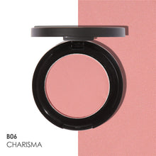 Load image into Gallery viewer, FOCALLURE 11 Colors Face Mineral Pigment Blusher Blush Powder Brozer Cosmestics Professional Palette  Blush Contour Shadow